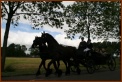 935 Willy & Gerard 098 Met de Koets